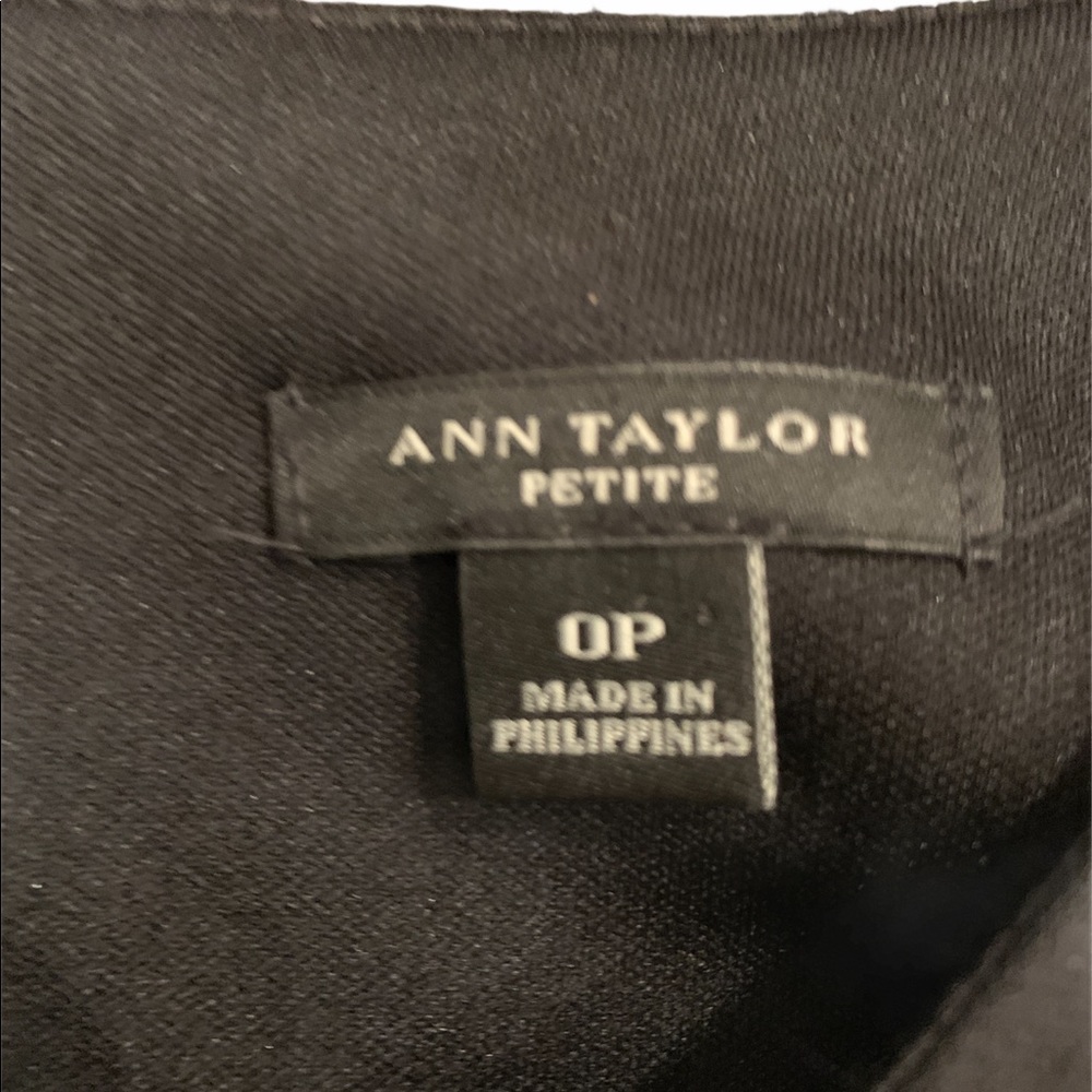 Ann Taylor Navy and Black Sheath Dress - Picture 5 of 5